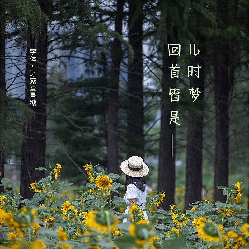 冰露星星糖