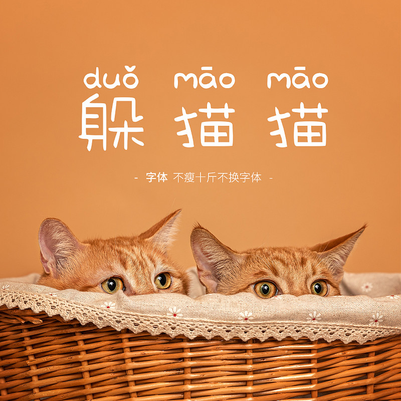 不瘦十斤不換字體