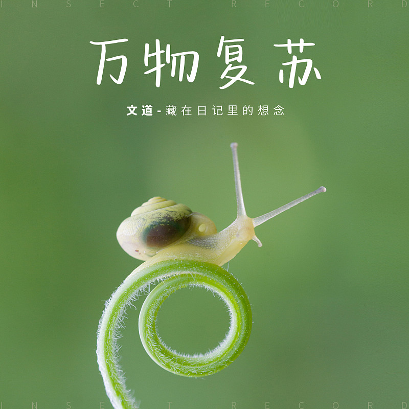 藏在日記里的想念