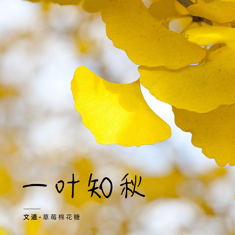 草莓棉花糖