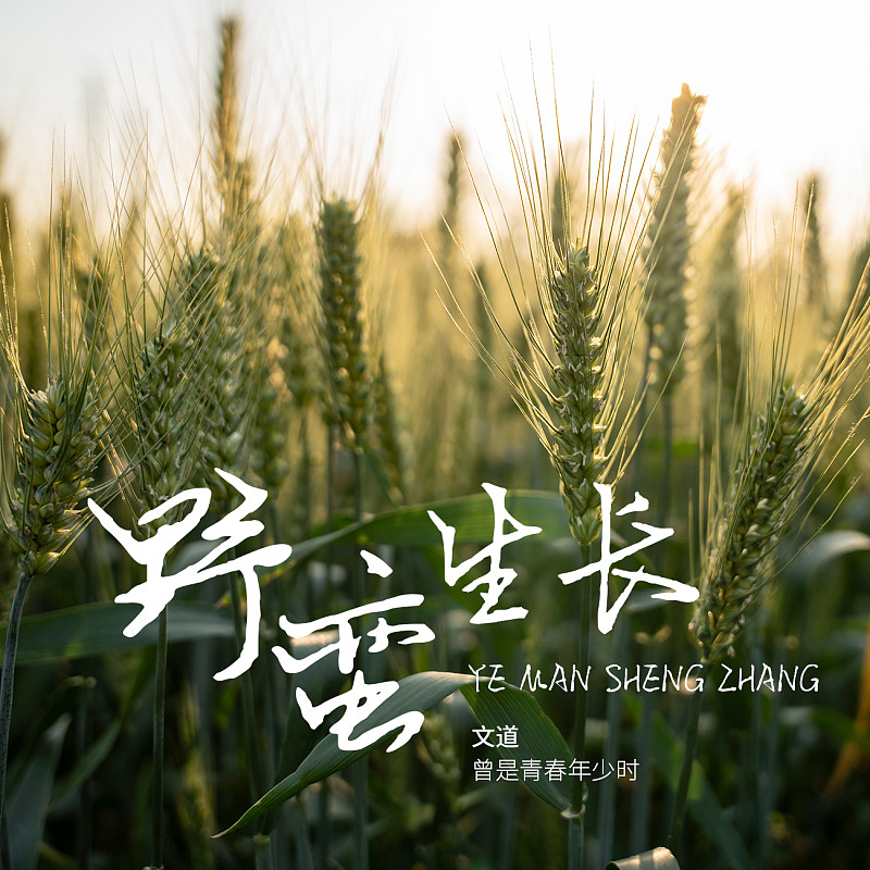 曾是青春年少時