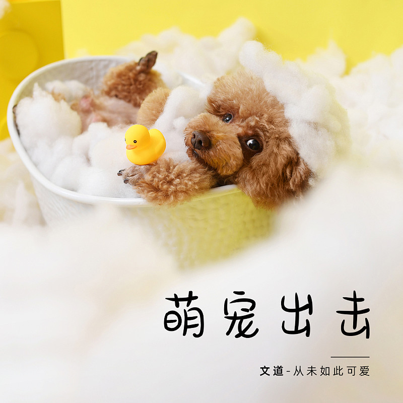 從未如此可愛