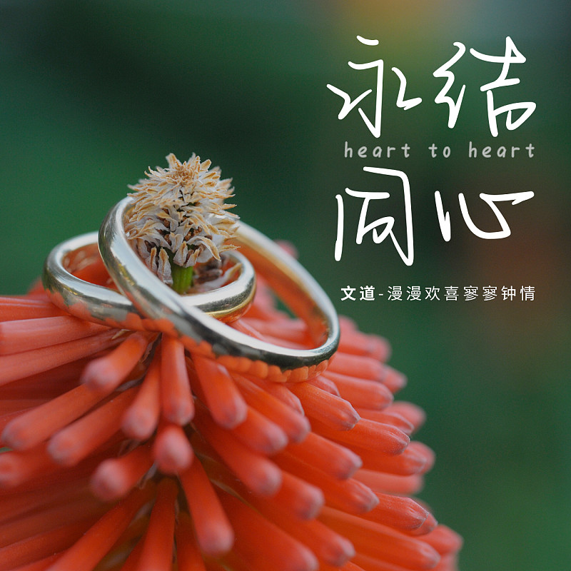 漫漫歡喜寥寥鐘情