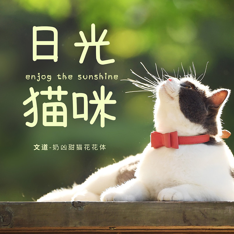 奶兇甜貓花花體