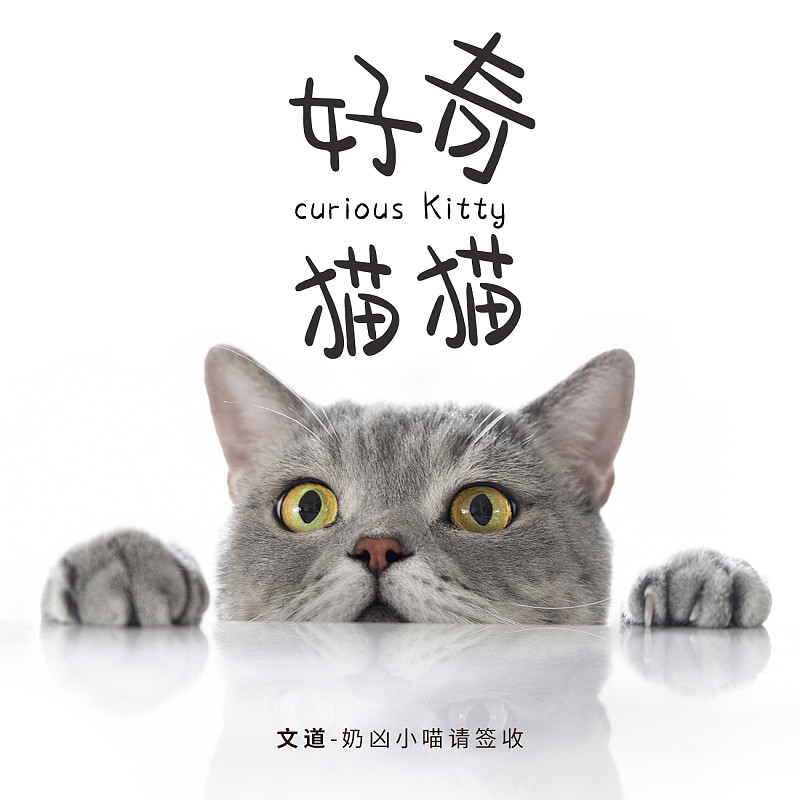 奶兇小喵請簽收