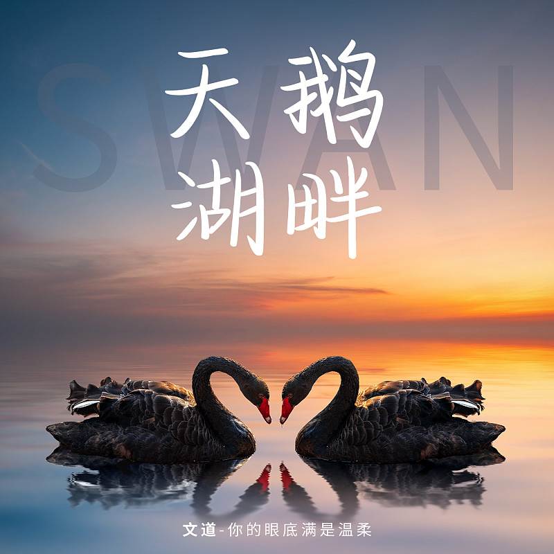 你的眼底滿是溫柔