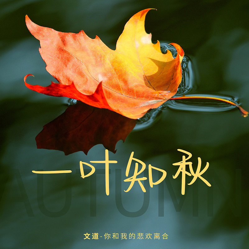 你和我的悲歡離合