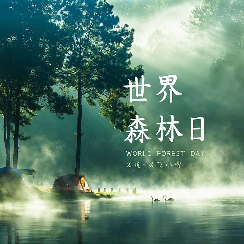 字体展示-文道灵飞小楷