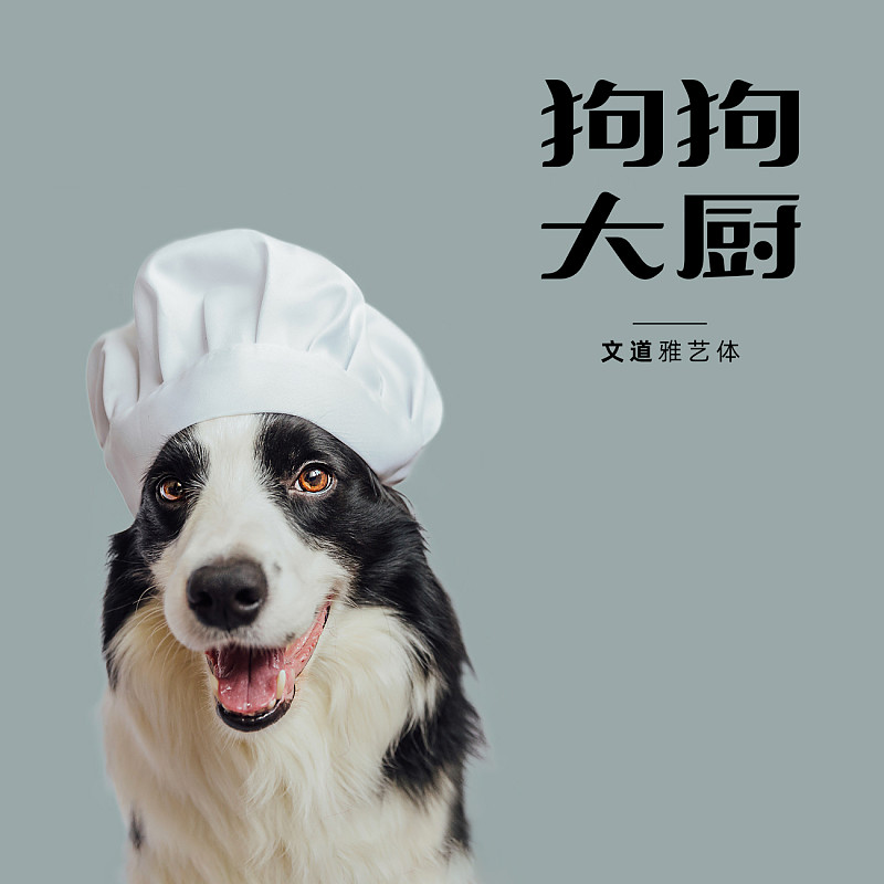 字体展示-文道雅艺体