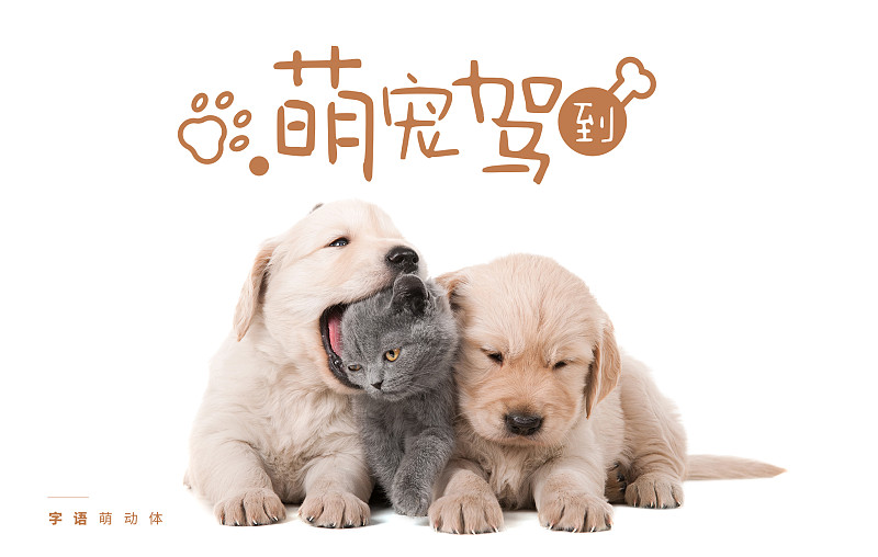 字語萌動體