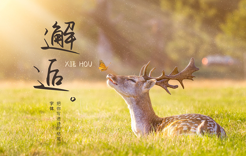 把你寫進詩的結尾