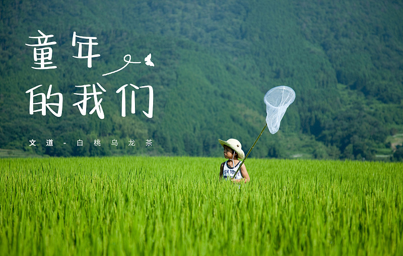 白桃烏龍茶