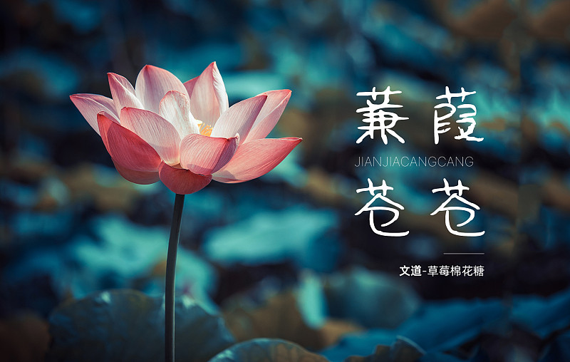 草莓棉花糖