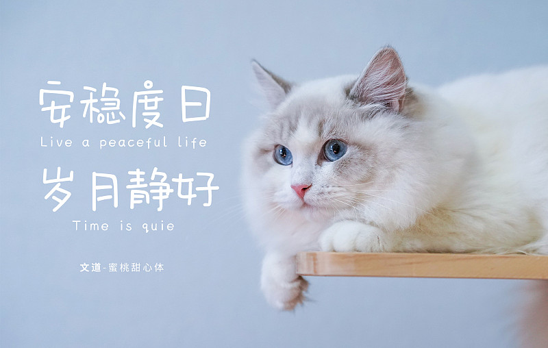 蜜桃甜心體