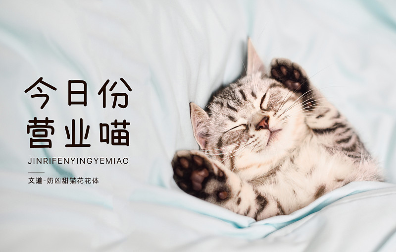 奶兇甜貓花花體