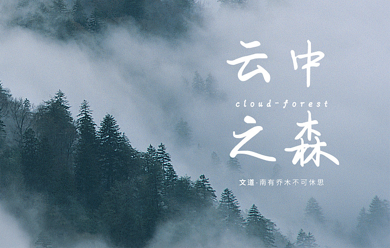 南有喬木不可休思