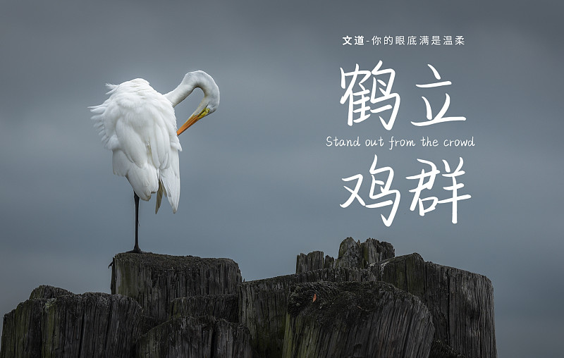 你的眼底滿是溫柔