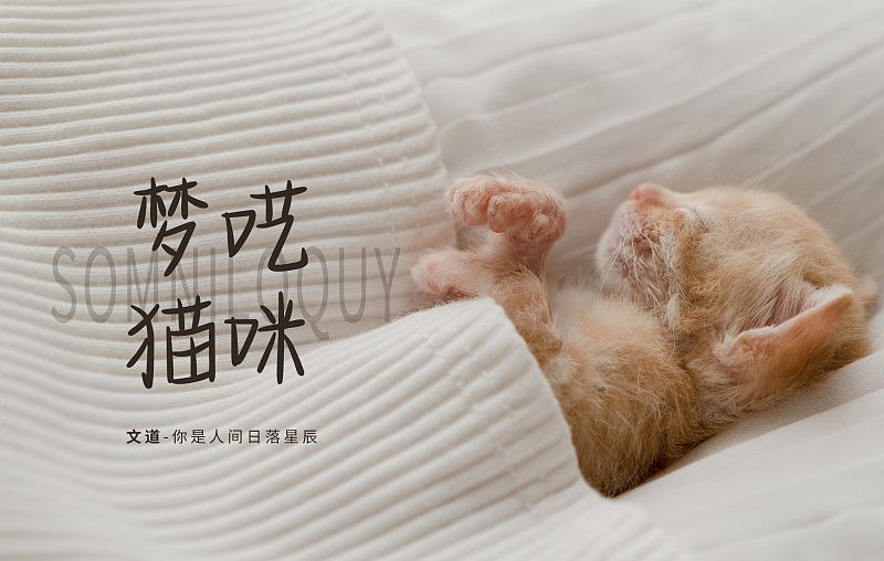 你是人間日落星辰
