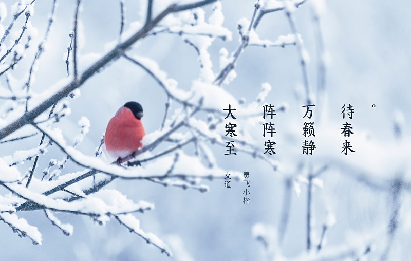 字体展示-文道灵飞小楷