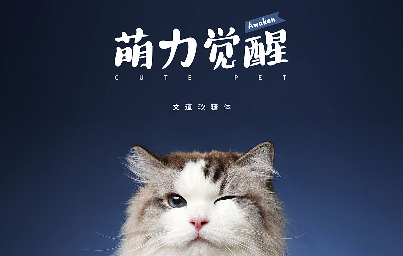 文道軟糖體