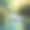 白毛浮绿水,红掌拨清波。（唐）骆宾王 大白鹅，白色的羽毛，清透的水面下露出红色的脚掌，弯曲着脖子仰望天空，清澈的绿色湖水，周围有水生植物，俯视图，中长焦镜头，插画风格