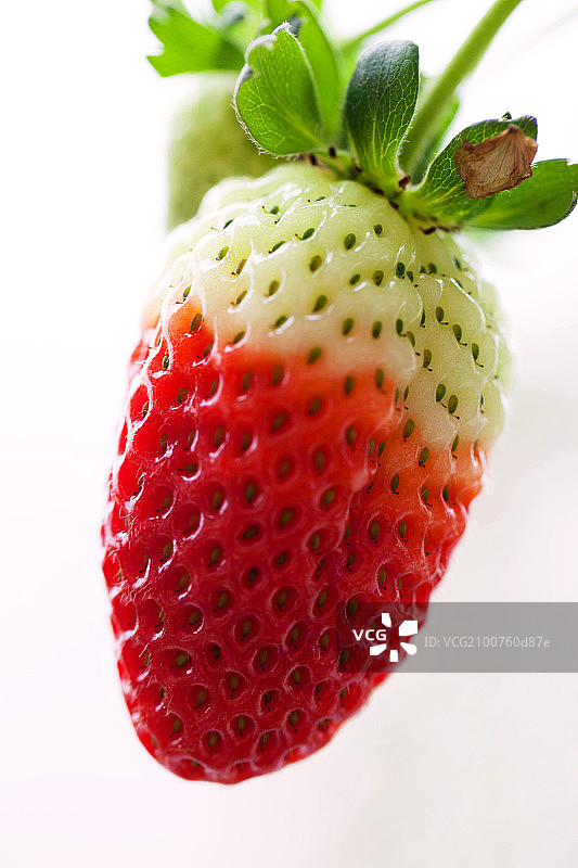 一个成熟的红色草莓特写图片素材