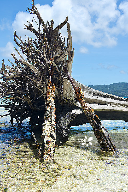 塞班军舰岛硫磺岛战役遗迹图片素材