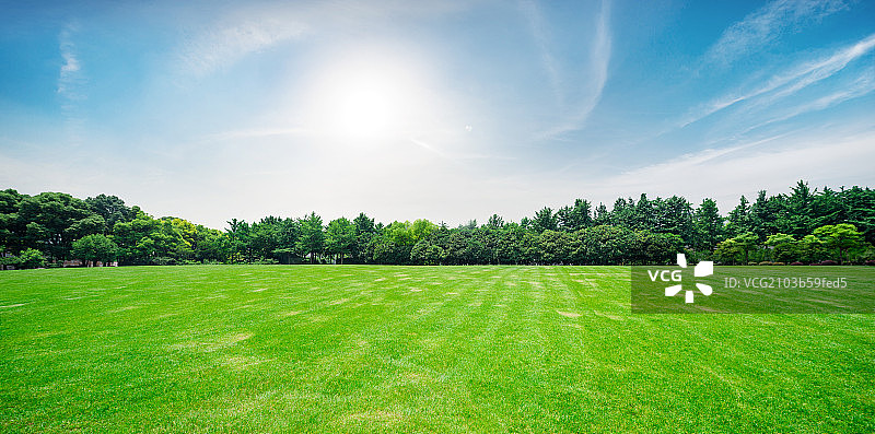 蓝天草地图片素材