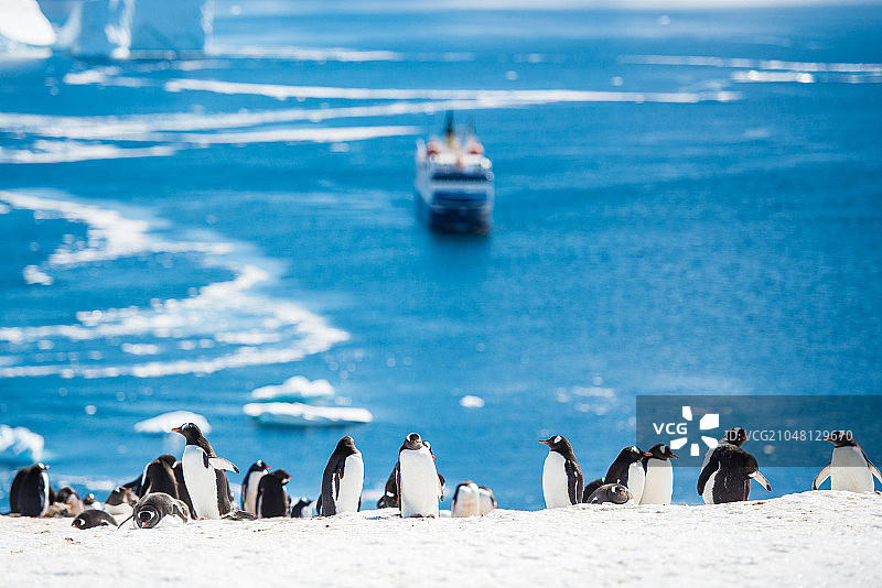 南极风光图片素材