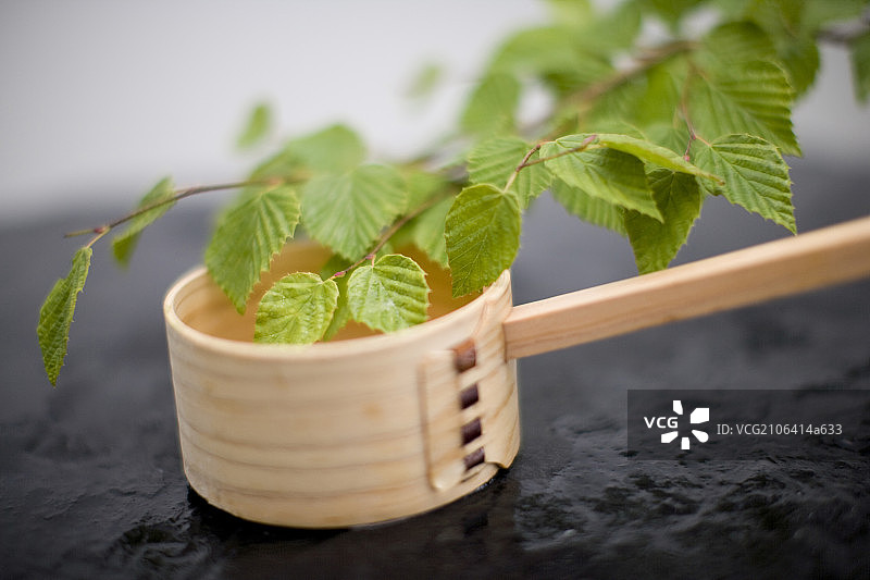 green leaves and water ladle图片素材