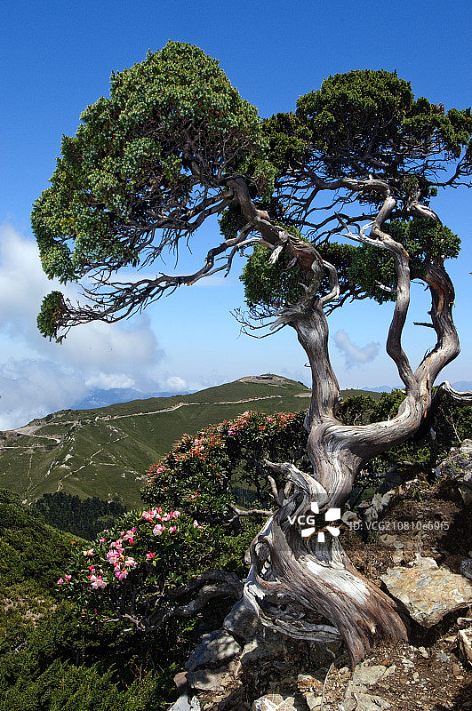 Hehuan山图片素材