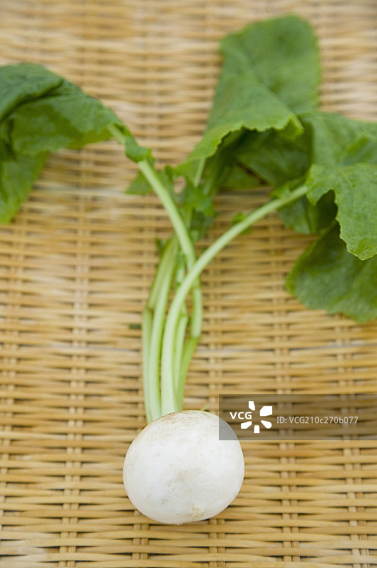 白色的萝卜图片素材