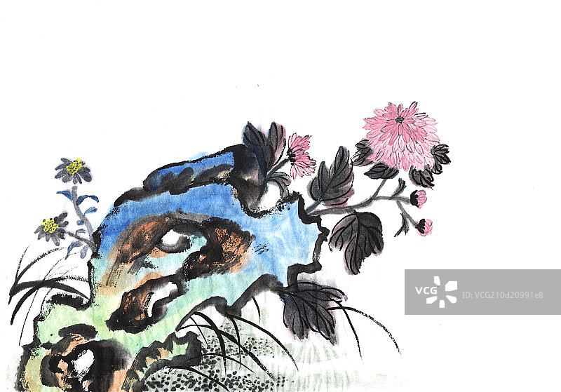 写意--菊花图片素材