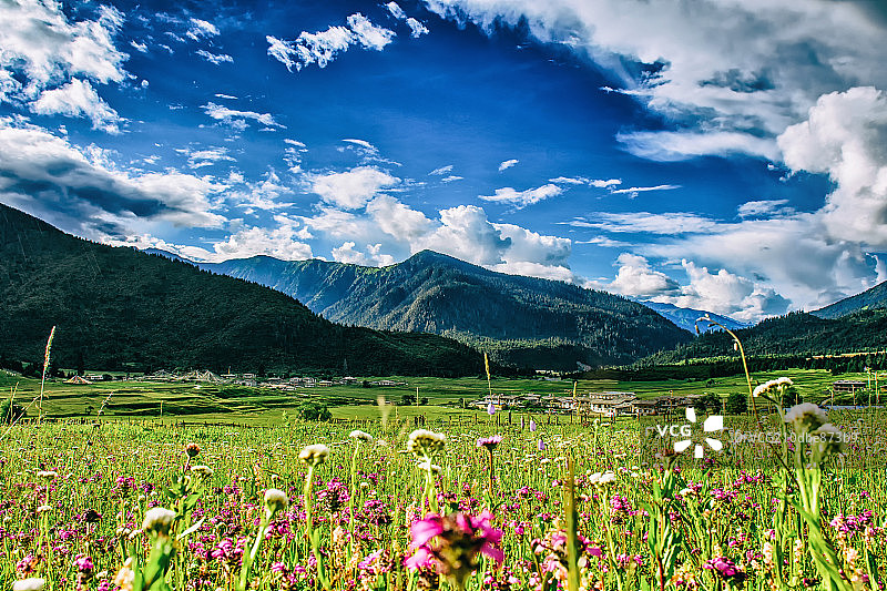 鲁朗田园风光图片素材
