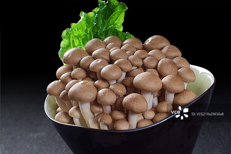 菌类-蟹味菇图片素材