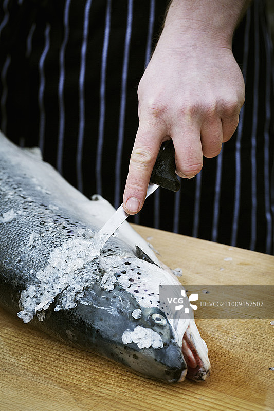 厨师处理鲜鱼特写图片素材