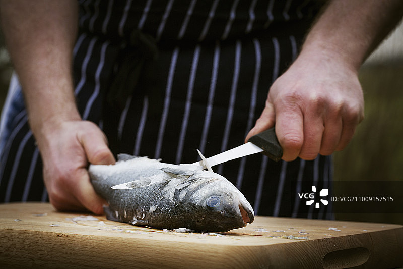 厨师处理鲜鱼特写图片素材
