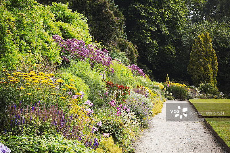 花园花境旁的小径图片素材