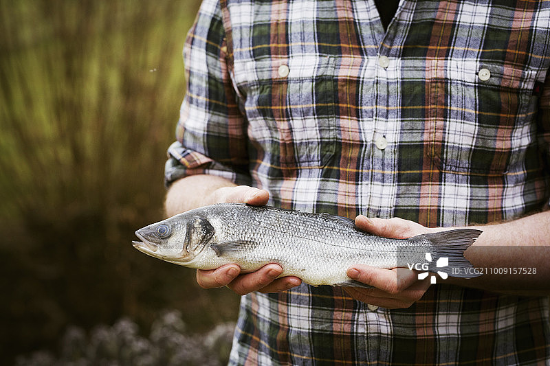 厨师手中拿着一条新鲜的鱼的特写图片素材
