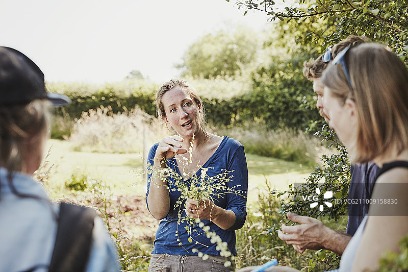 女人和两个人谈论安全的可食用植物，手里拿着新鲜采摘的植物图片素材