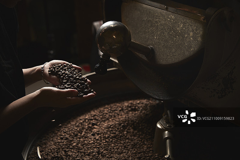 咖啡店：手捧新鲜烘焙咖啡豆图片素材