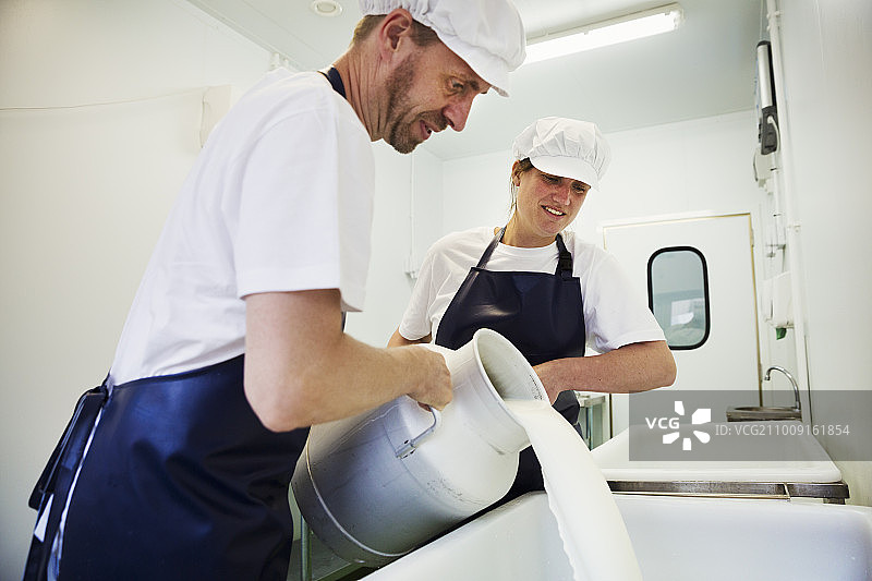 男人和女人在乳品厂里，从搅乳器中倒出羊奶，制作山羊奶酪图片素材