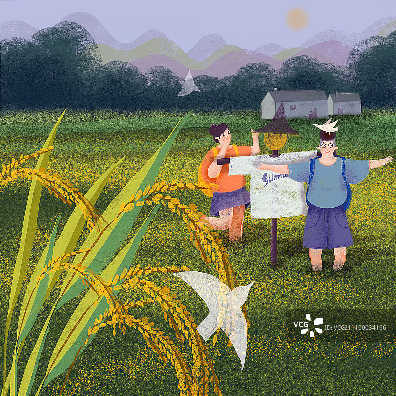 芒种图片素材