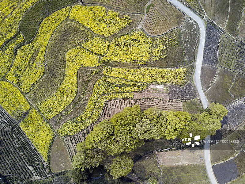 塔山春晓图片素材