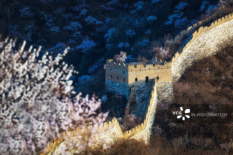 箭扣长城花海-9图片素材