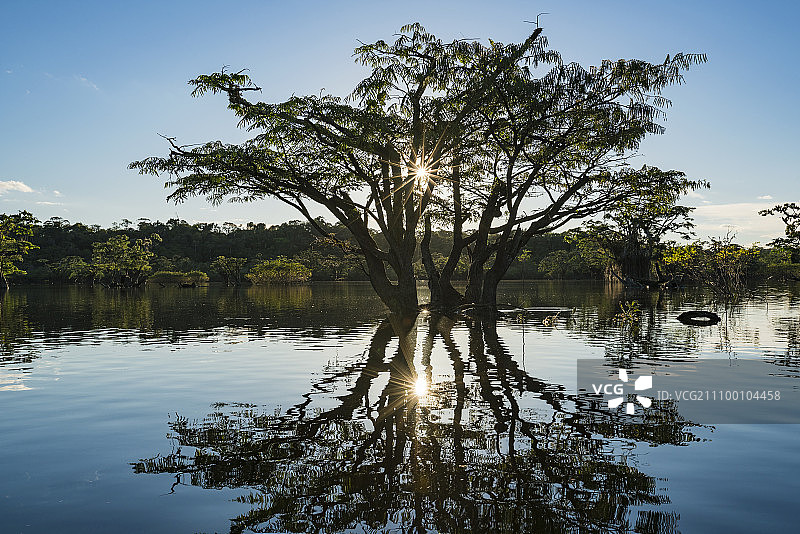 亚马逊-paige图片素材