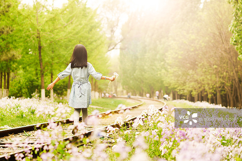 手拿蒲公英的小女孩图片素材