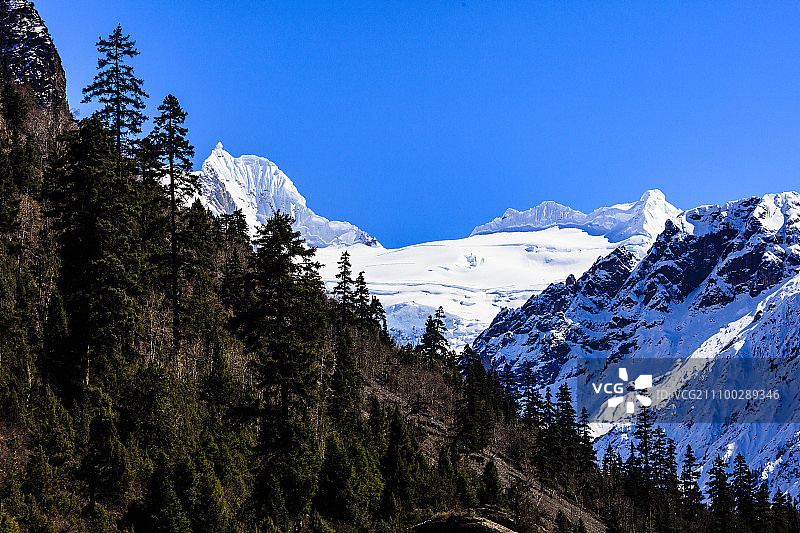 西藏林芝波密米堆冰川主峰图片素材
