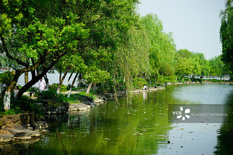 梅花洲美丽风景图片素材
