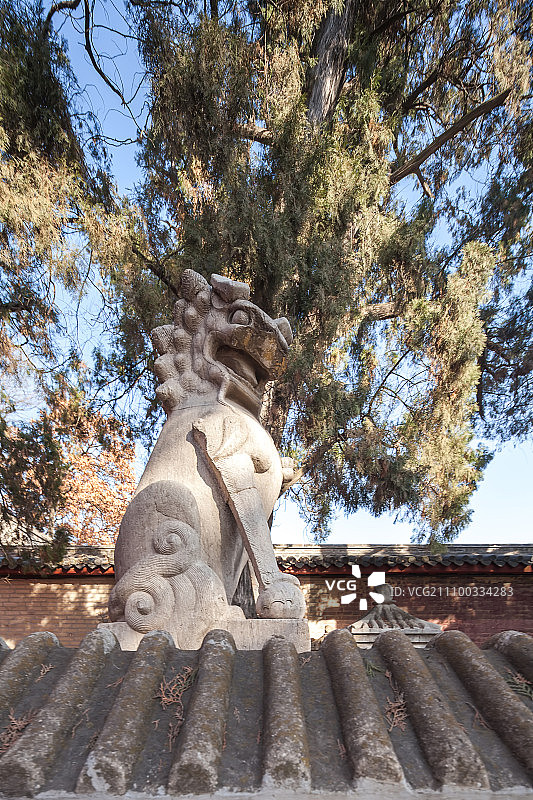 山东省曲阜孔林图片素材